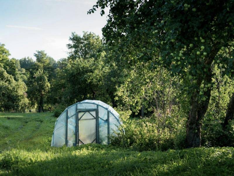 Greenhouse covered with plastic film